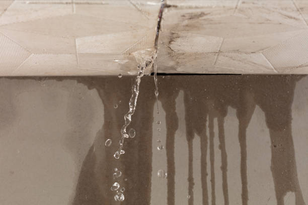 Professional Water Damage Repair technician working in Dimock, SD